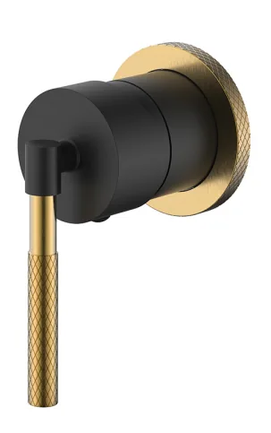 Shower Mixer, Black with Gold Accent in Matt Black / Brushed Gold, model V07S-BK-G